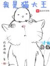我是猫大王
